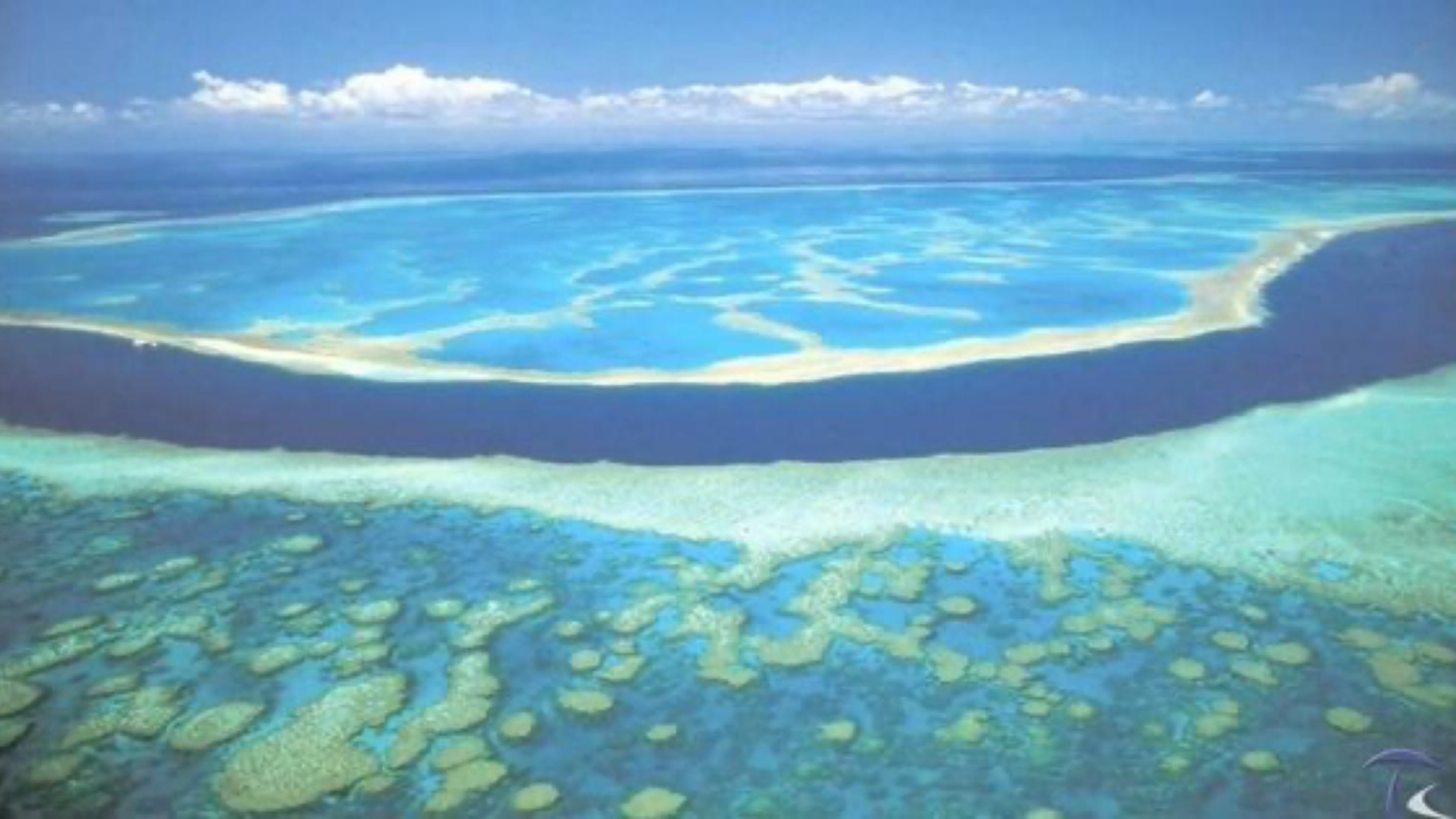Barriera Corallina, Australia