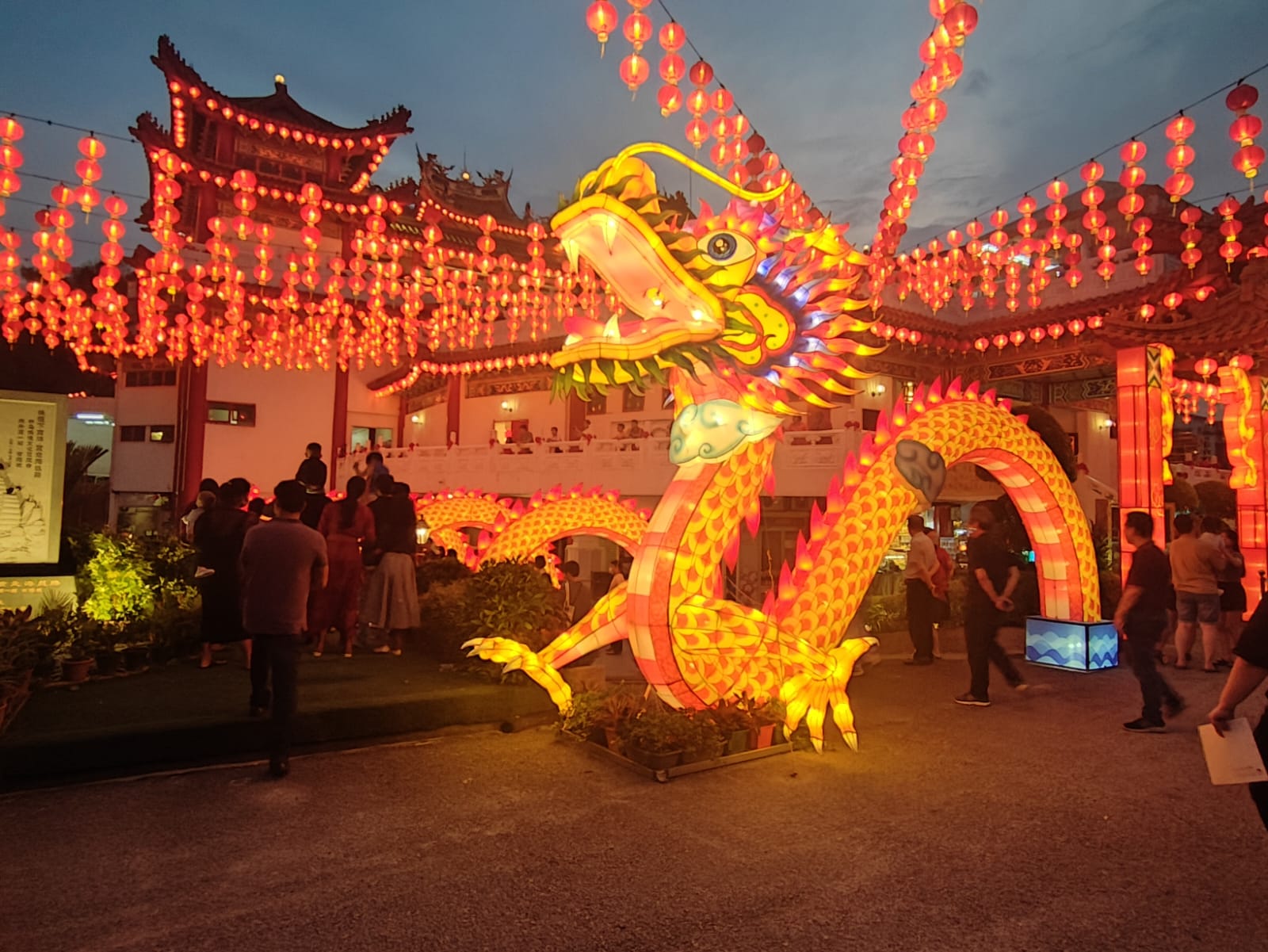Anno del Drago, dove e come celebrare il Capodanno cinese - ViaggiOff