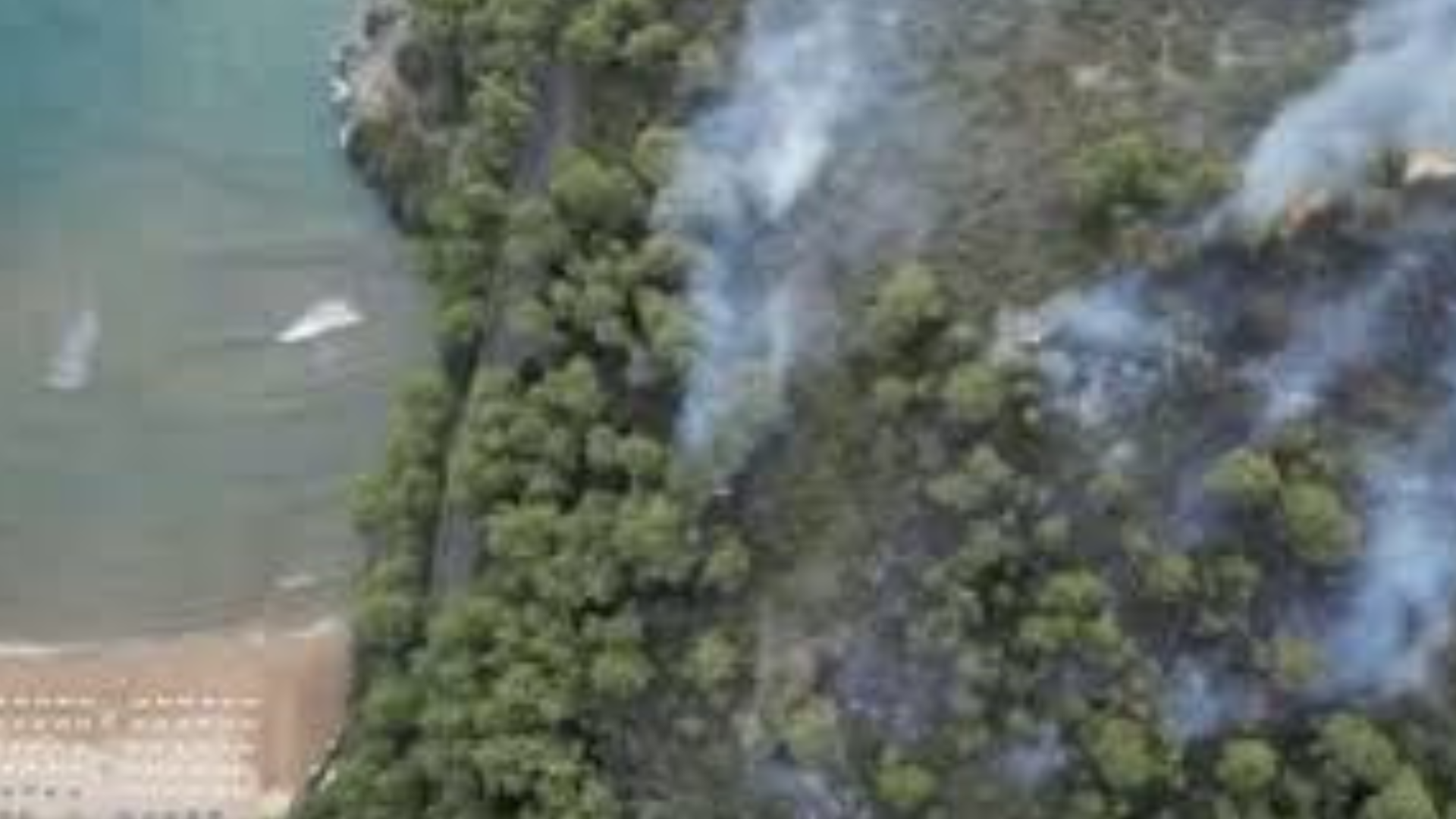 Vieste, brucia il bosco della Baia San Felice: più di 1000 turisti evacuati