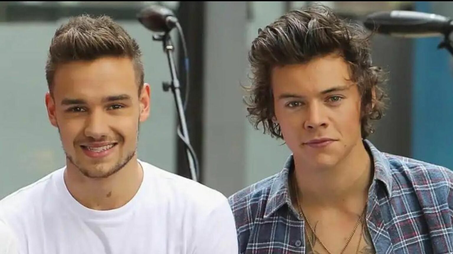 Liam Payne ed Harry Styles