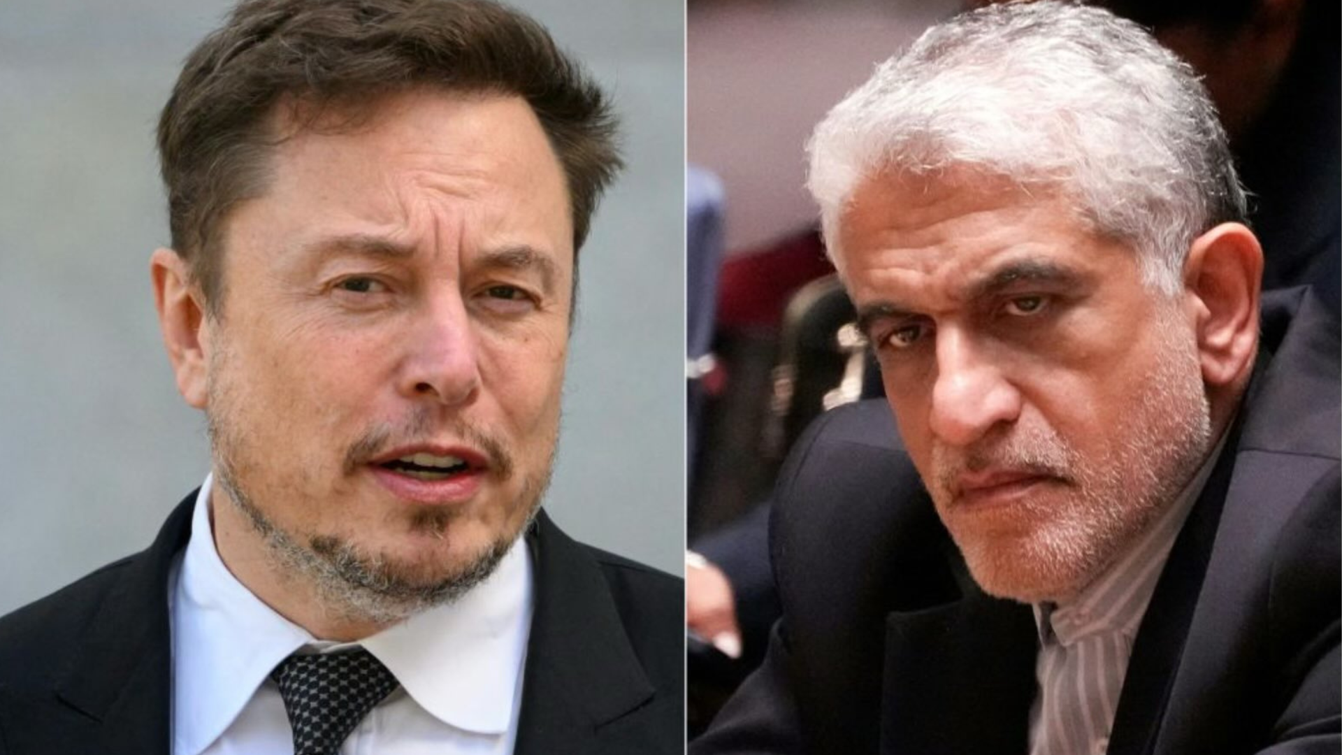 Elon Musk e l'ambasciatore iraniano all'Onu