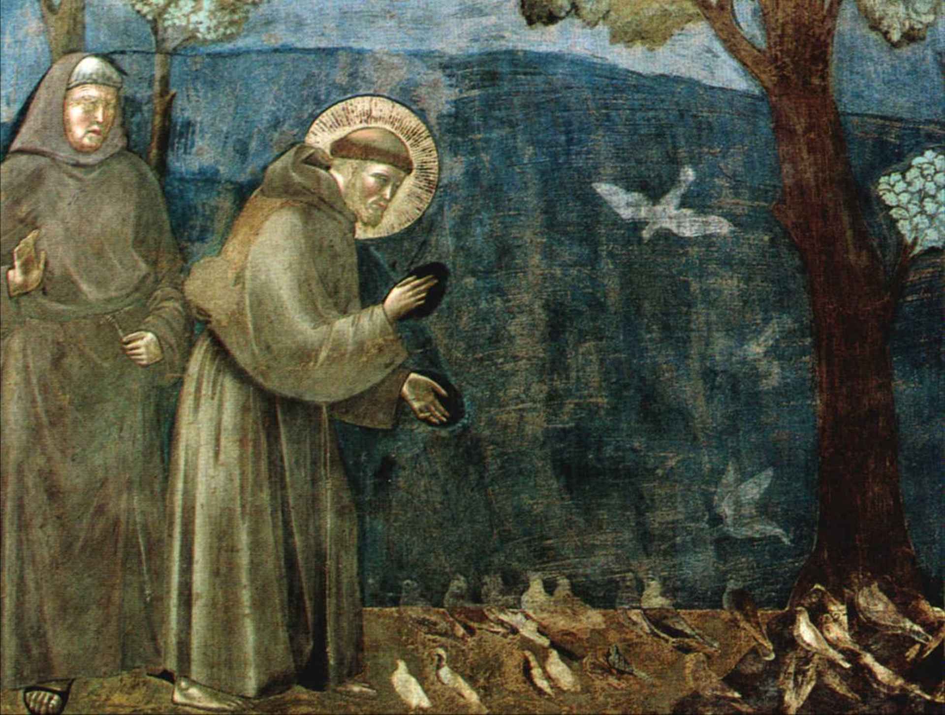 800 anni del Cantico delle Creature: la poesia mondiale celebra San Francesco