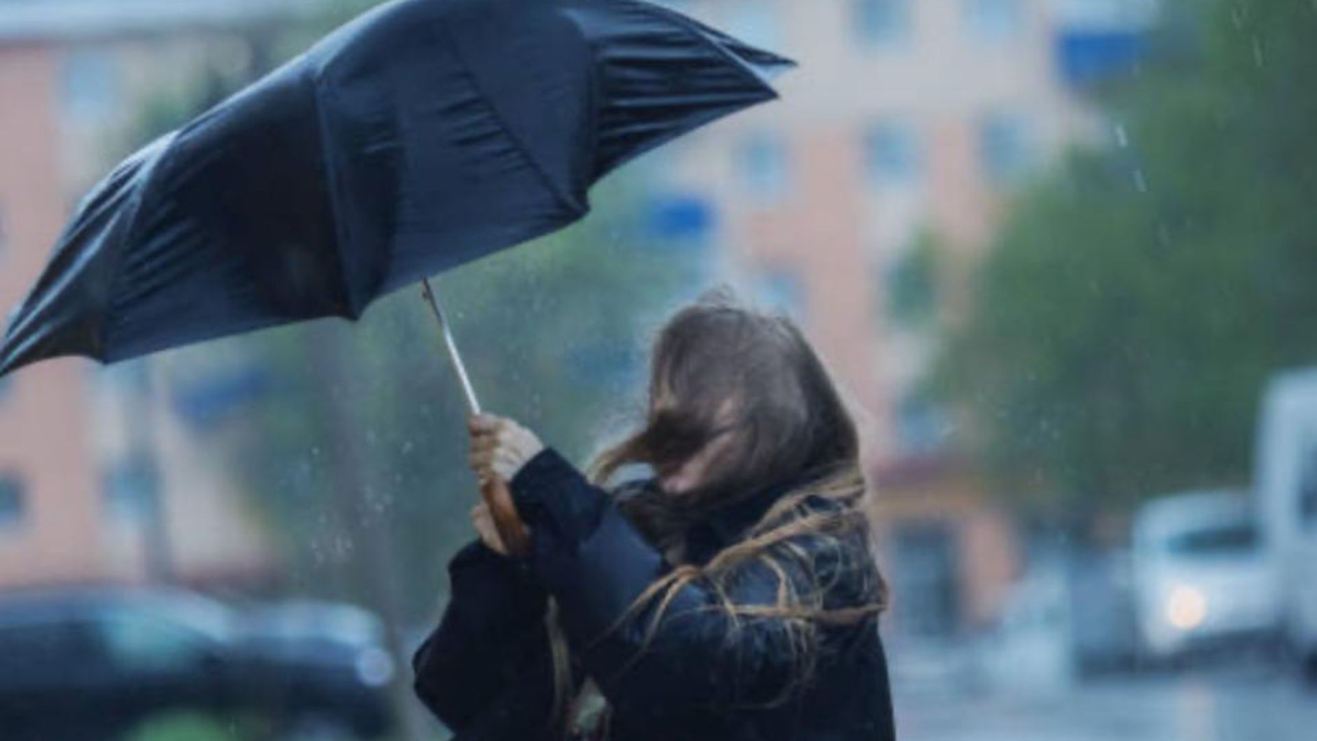 Meteo, Santo Stefano tra sole e freddo artico: ancora piogge e vento forte in Sud Italia