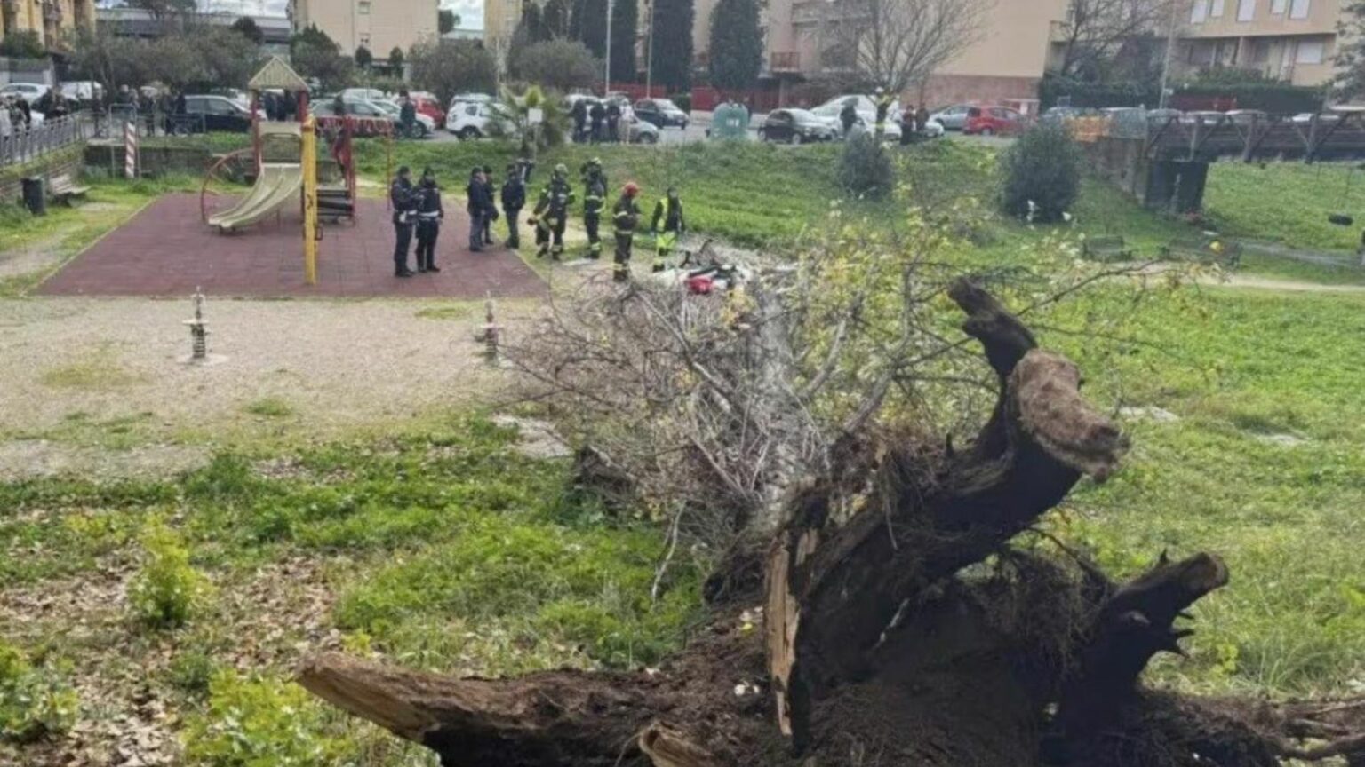 Roma, donna muore travolta da albero