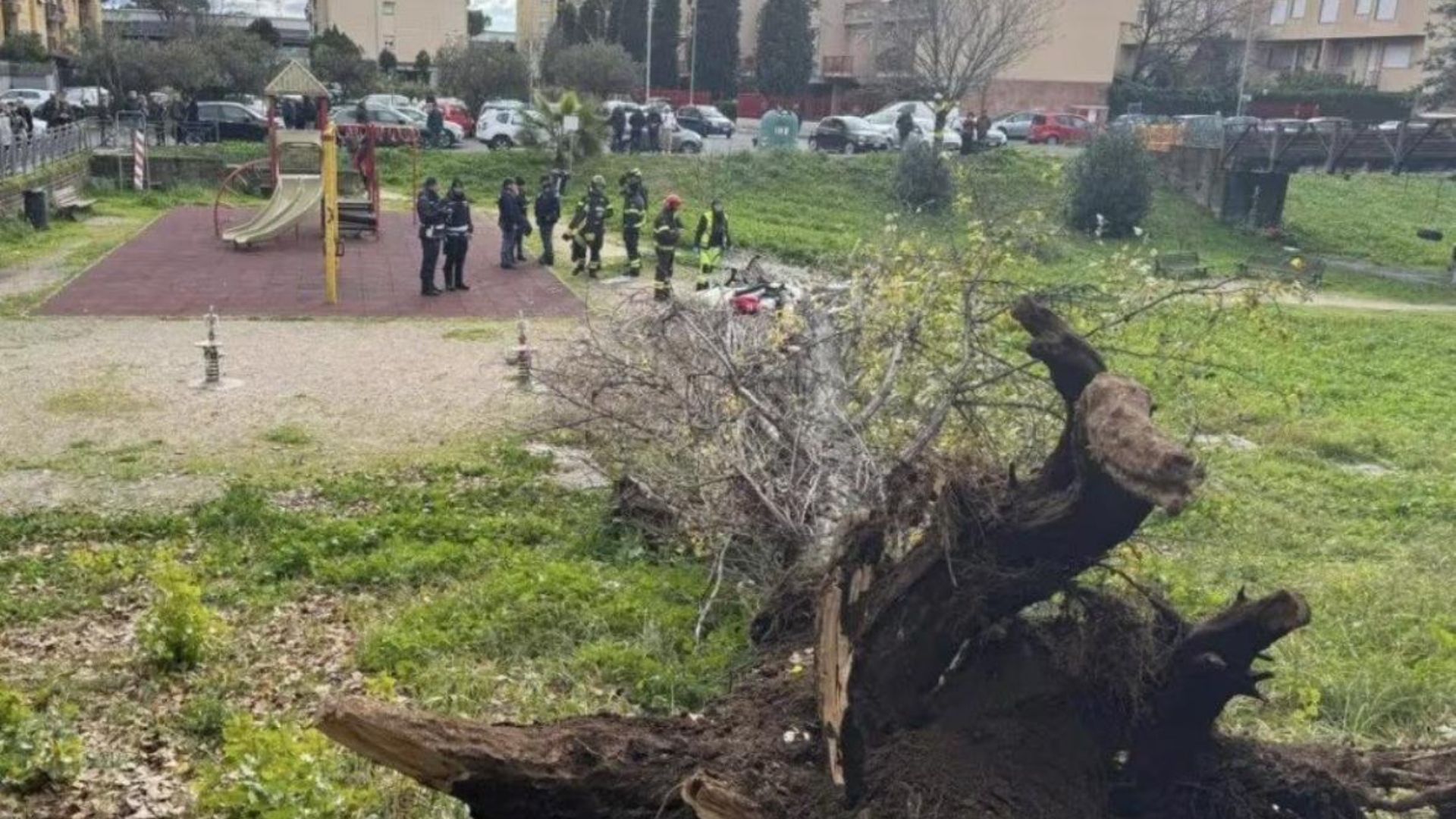 Roma, 45enne morta travolta da un albero: parco sotto sequestro e ipotesi omicidio colposo