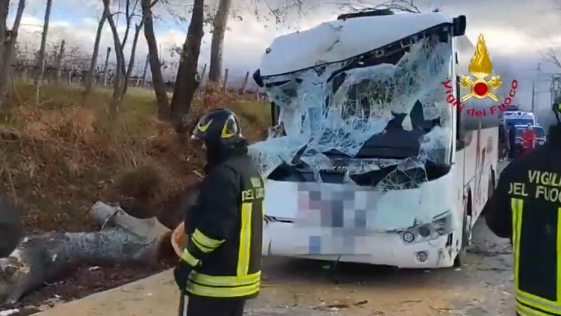 Firenze, albero cade su scuolabus