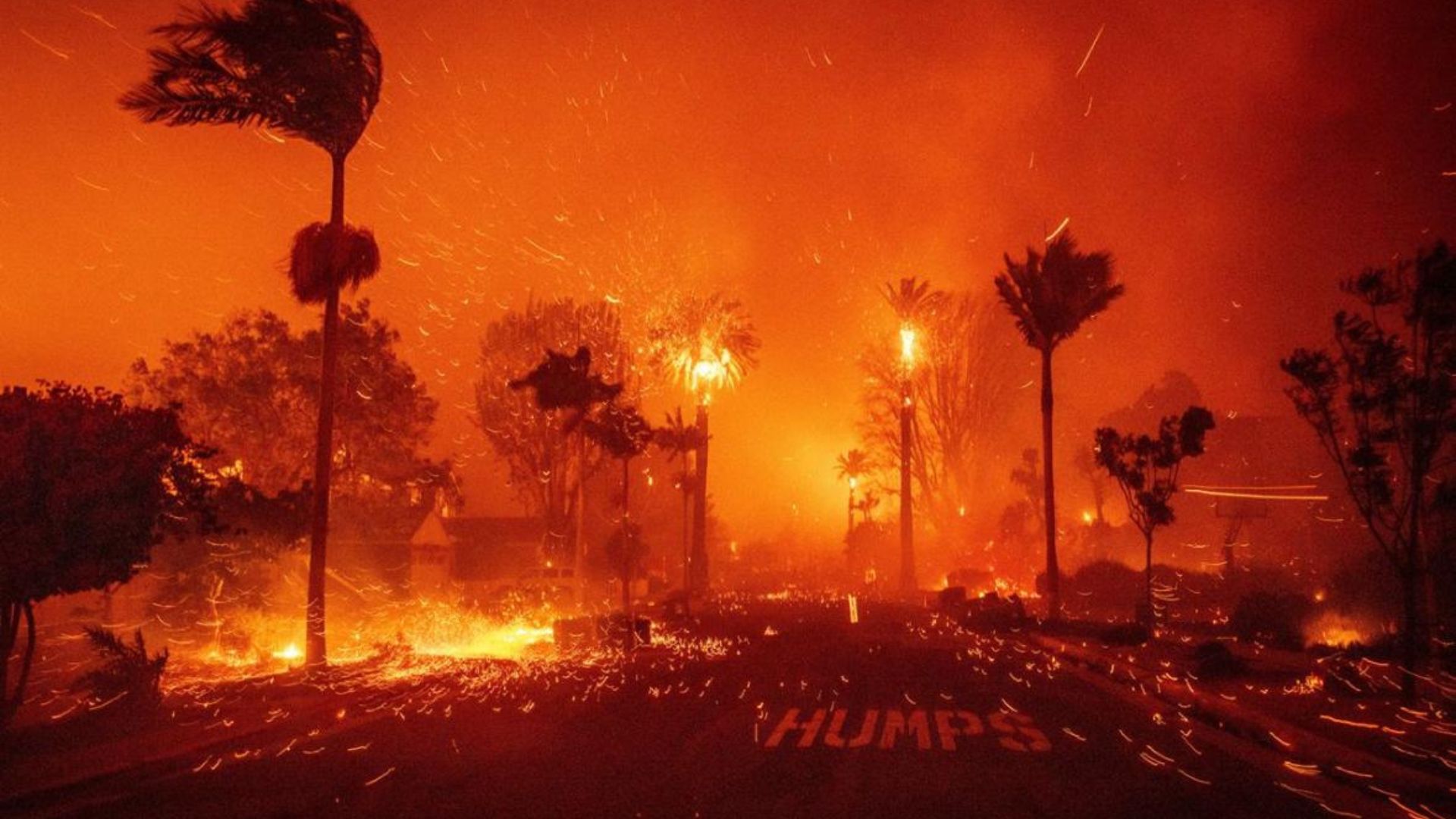 Los Angeles in trappola tra le fiamme, i testimoni italiani: “Ormai è città spettrale”