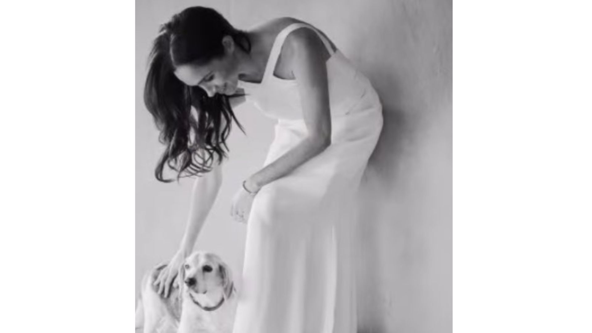 Meghan Markle dice addio al suo cane Guy, il commuovente ricordo