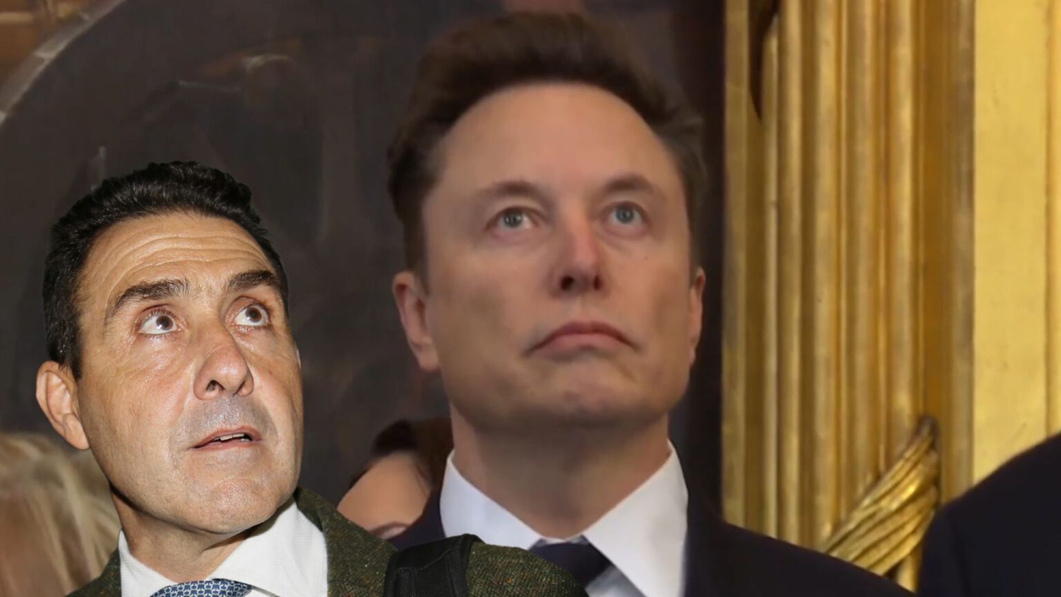 Roberto Vannacci, Elon Musk