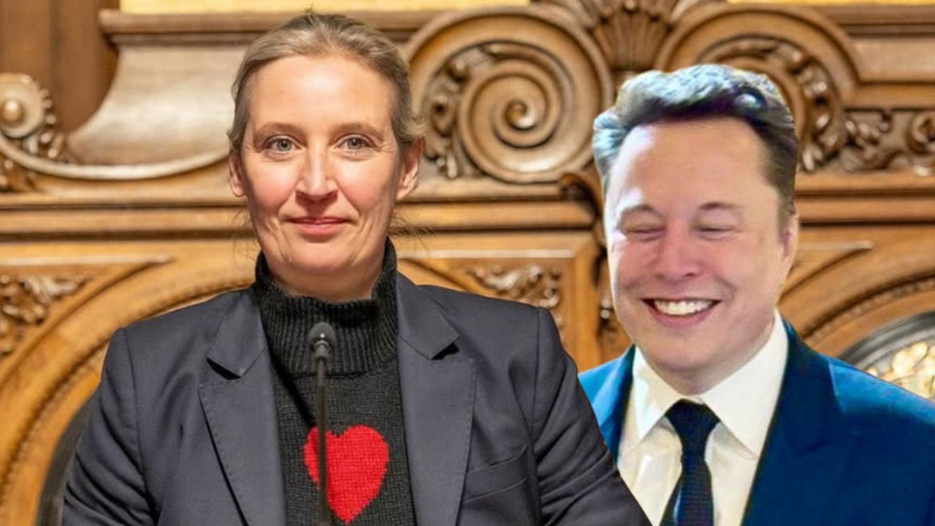 Alice Weidel ed Elon Musk