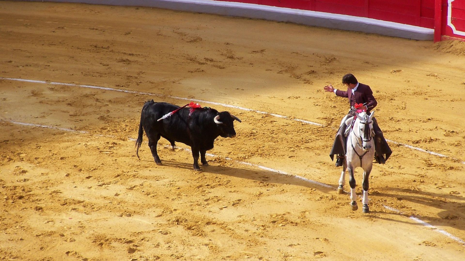 Città del Messico, norma anti-corrida