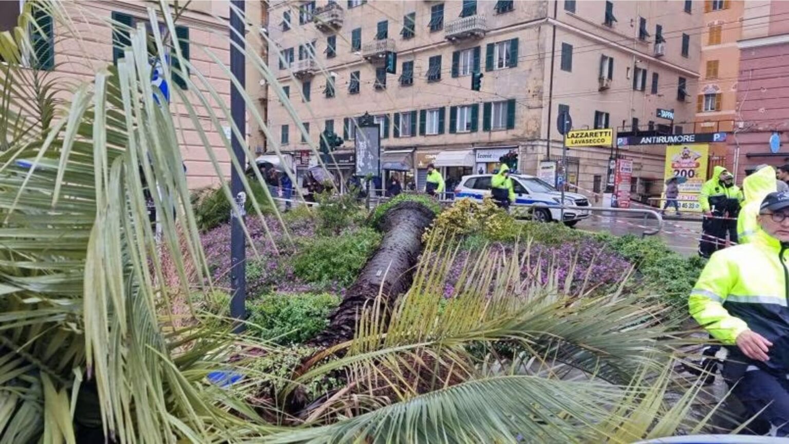 Genova, muore una donna schiacciata sotto una palma